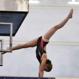 pre competitive diving ottawa