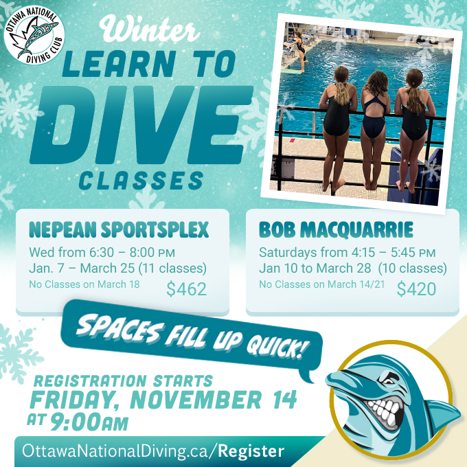 learn to dive winter 2025